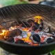 From Forest to BBQ: The Journey of Sustainable Charcoal