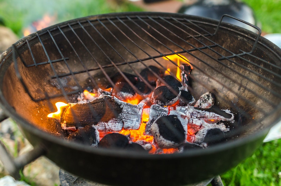From Forest to BBQ: The Journey of Sustainable Charcoal